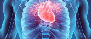 VOLTA MEDICAL, fait entrer l'Intelligence Artificielle dans la cardiologie interventionnelle